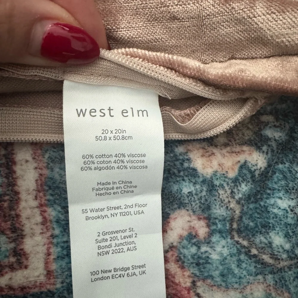 West Elm Velvet Luster Pillow Cases (2)